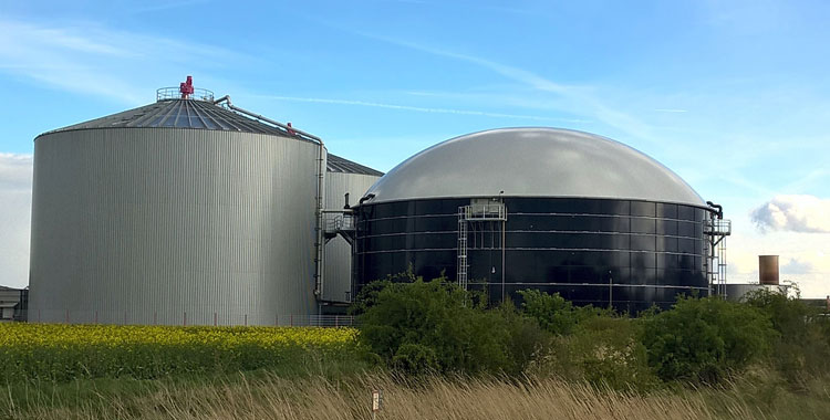 biogas energia rinnovabile