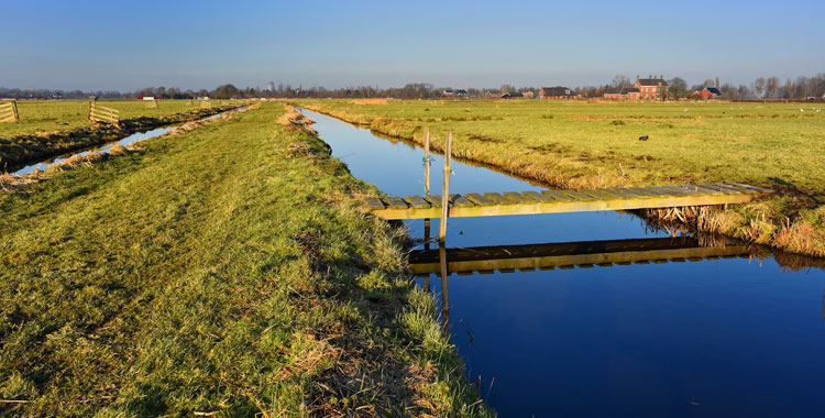 acque per canale agricoltura